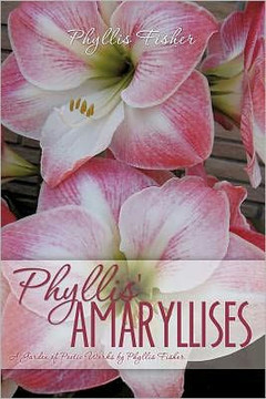 Phyllis' Amaryllises Phyllis' Amaryllises