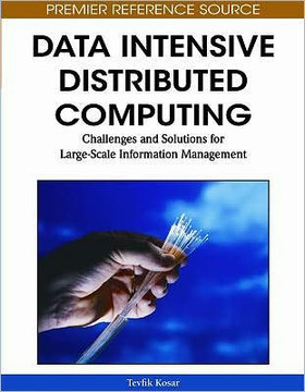 Data Intensive Distributed Computing: Challenges and Solutions for Large-scale Information Management