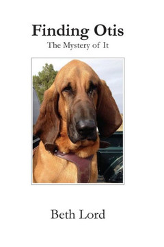 Finding Otis: The Mystery of It