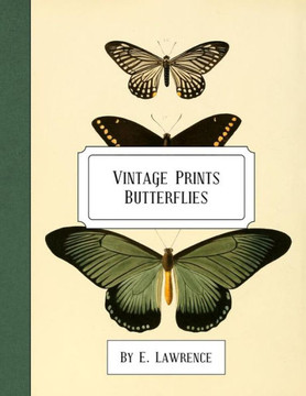 Vintage Prints : Butterflies
