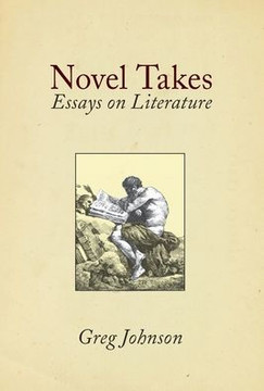 Novel Takes: Essays on Literature