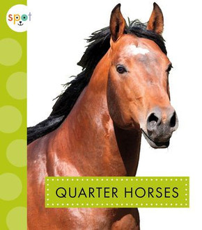 Quarter Horses