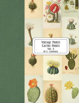 Vintage Prints : Cactus Prints: Vintage Prints : Cactus Prints: