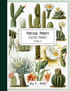 Vintage Prints : Cactus Prints Vintage Prints : Cactus Prints