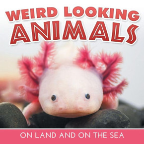 Weird Looking Animals On Land and On The Sea