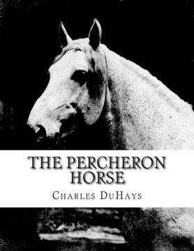 The Percheron Horse The Percheron Horse