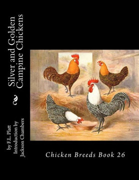 Silver And Golden Campine Chickens: Chicken Breeds Book 26