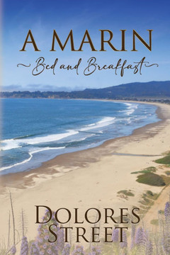A Marin Bed and Breakfast