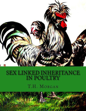 Sex Linked Inheritance In Poultry