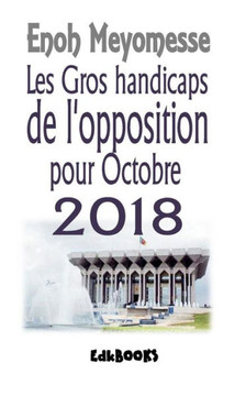 Les gros handicaps de l'opposition en 2018