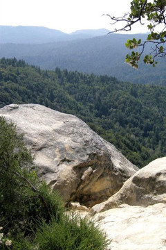 The Lady and the Apothecary