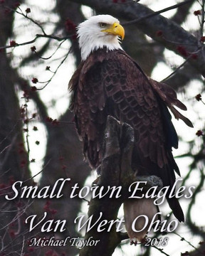 Small town Eagles: Van Wert Ohio