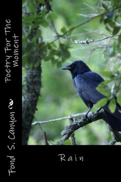 Poetry For The Moment: Rain