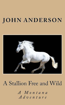 A Stallion Free and Wild