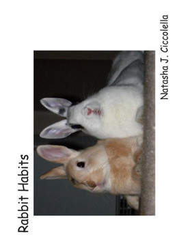 Rabbit Habits