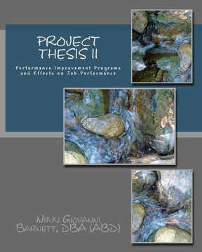 Project Thesis II: Performance Improvement Programs and Effects on Job Performance