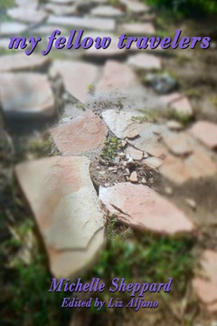 my fellow travellers