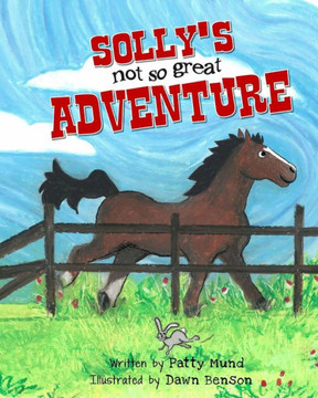 Solly's not-so-great Adventure