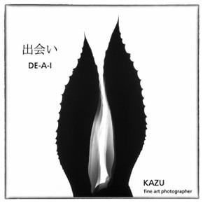 DE-A-i: (Japanese for encounter)