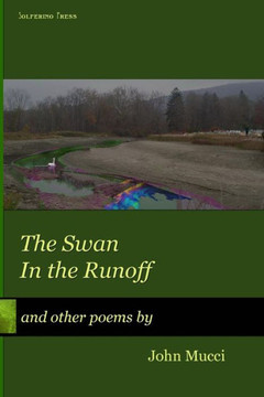 Swan in the Runoff: and other poems