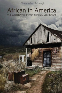 African In America: The World You Know, The Pain You Don't