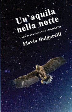 Un'aquila nella notte