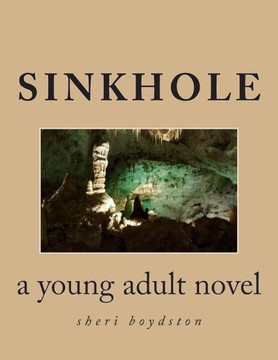 Sinkhole: a young adult novel