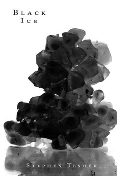 Black Ice : 9781494494285