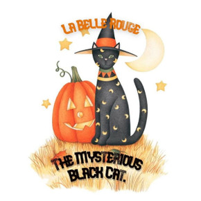 The Mysterious Black Cat: A Halloween Story