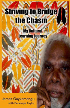 Striving to Bridge the Chasm: My Cultural Learning Journey