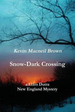 Snow-Dark Crossing