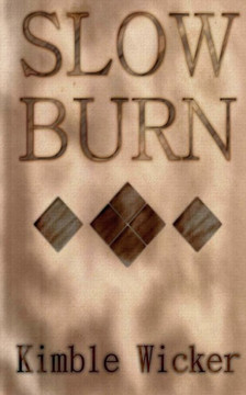 Slow Burn : 9781497480278