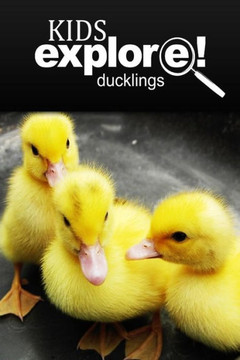 Ducklings - Kids Explore: Animal books nonfiction - books ages 5-6