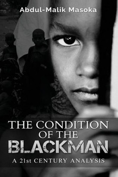 The Condition Of The Blackman: A 21St Century Analysis