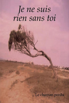 Je Ne Suis Rien Sans Toi: Recueil de Poesies Ouvertes...