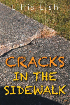 Cracks in the Sidewalk : 9781499037852