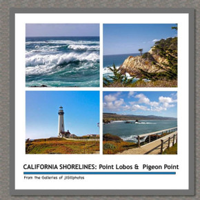 California Shorelines: Point Lobos & Pigeon Point: From the Galleries of jlGillphotos