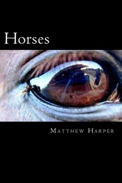 Horses: The Essential Guide To Horses For Kids : 9781499245349