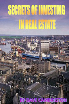 Secrets Of Investing In Real Estate : 9781499376081