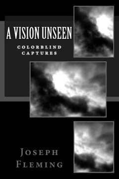 A Vision Unseen: Colorblind Captures