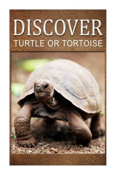 Turtle Or Tortoise - Discover: Early reader's wildlife photography book