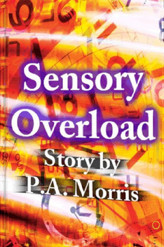 Sensory Overload Sensory Overload