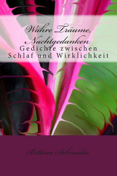 Wahre TrNume, Nachtgedanken: Gedichte zwischen Schlaf und Wirklichkeit