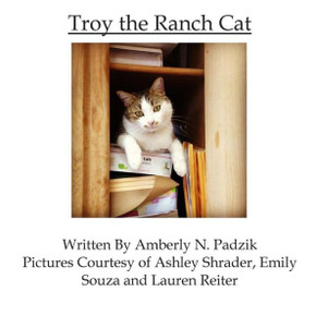 Troy The Ranch Cat Troy The Ranch Cat