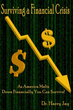 Surviving A Financial Crisis: As America Melts Down Financially You Can Survive!