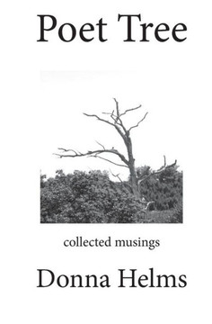 Poet Tree: Collected Musings