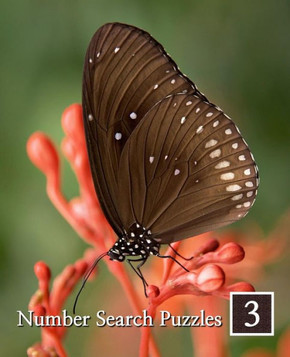 Number Search Puzzles 3: 100 Elegant Puzzles in Large Print - Large Print