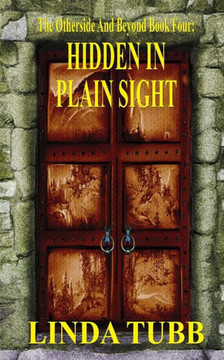 Hidden in Plain Sight: The Otherside and Beyond book 4