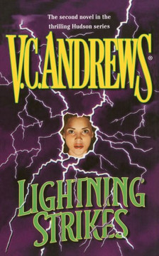 Lightning Strikes : 9781501100253