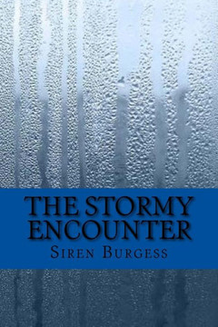 The Stormy Encounter